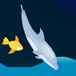 patrick@ottawa.place