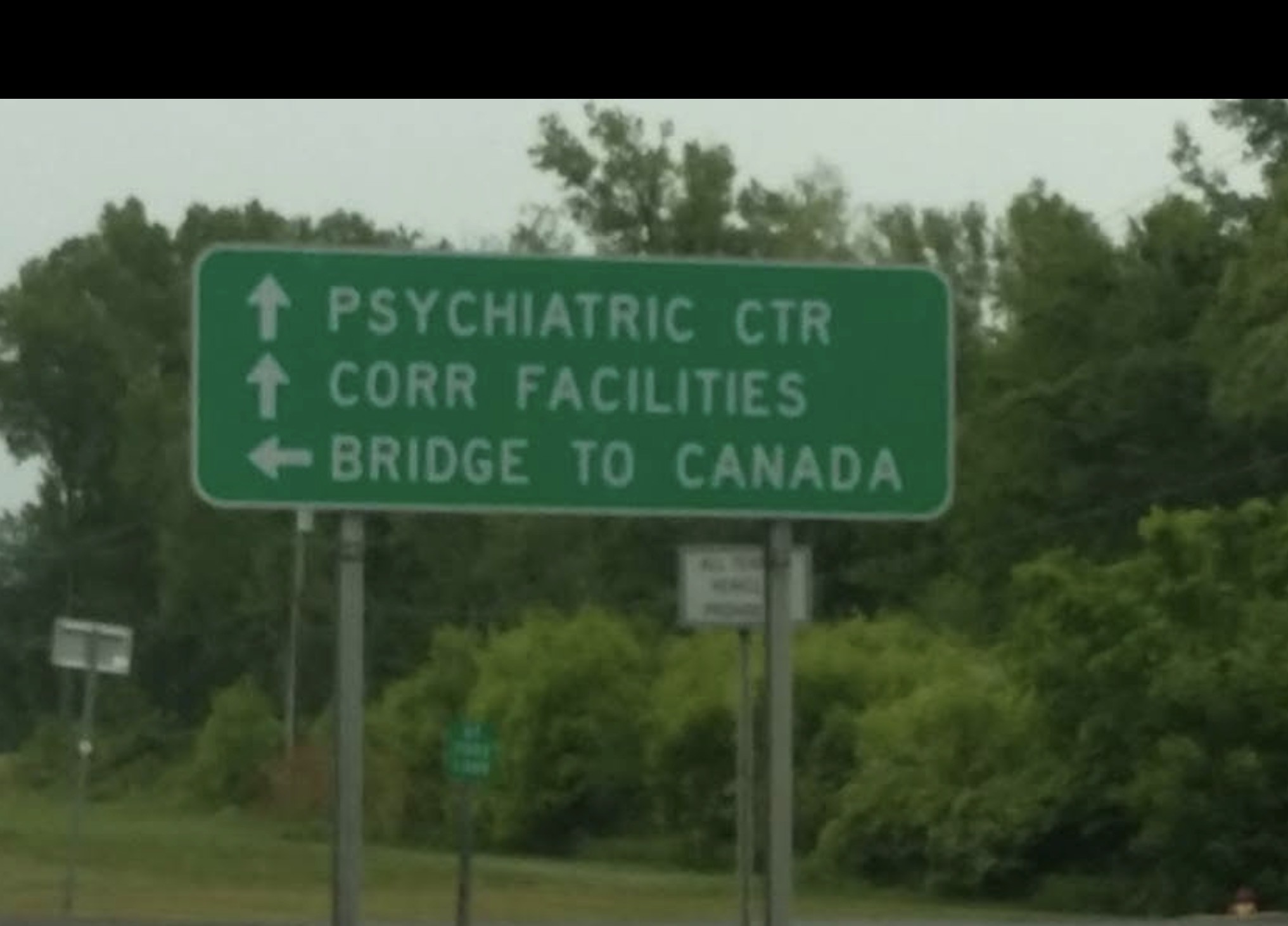 A green roadside direction sign with arrows pointing straight ahead for a psychiatric centre and a correctional facility, and left for a bridge to Canada.