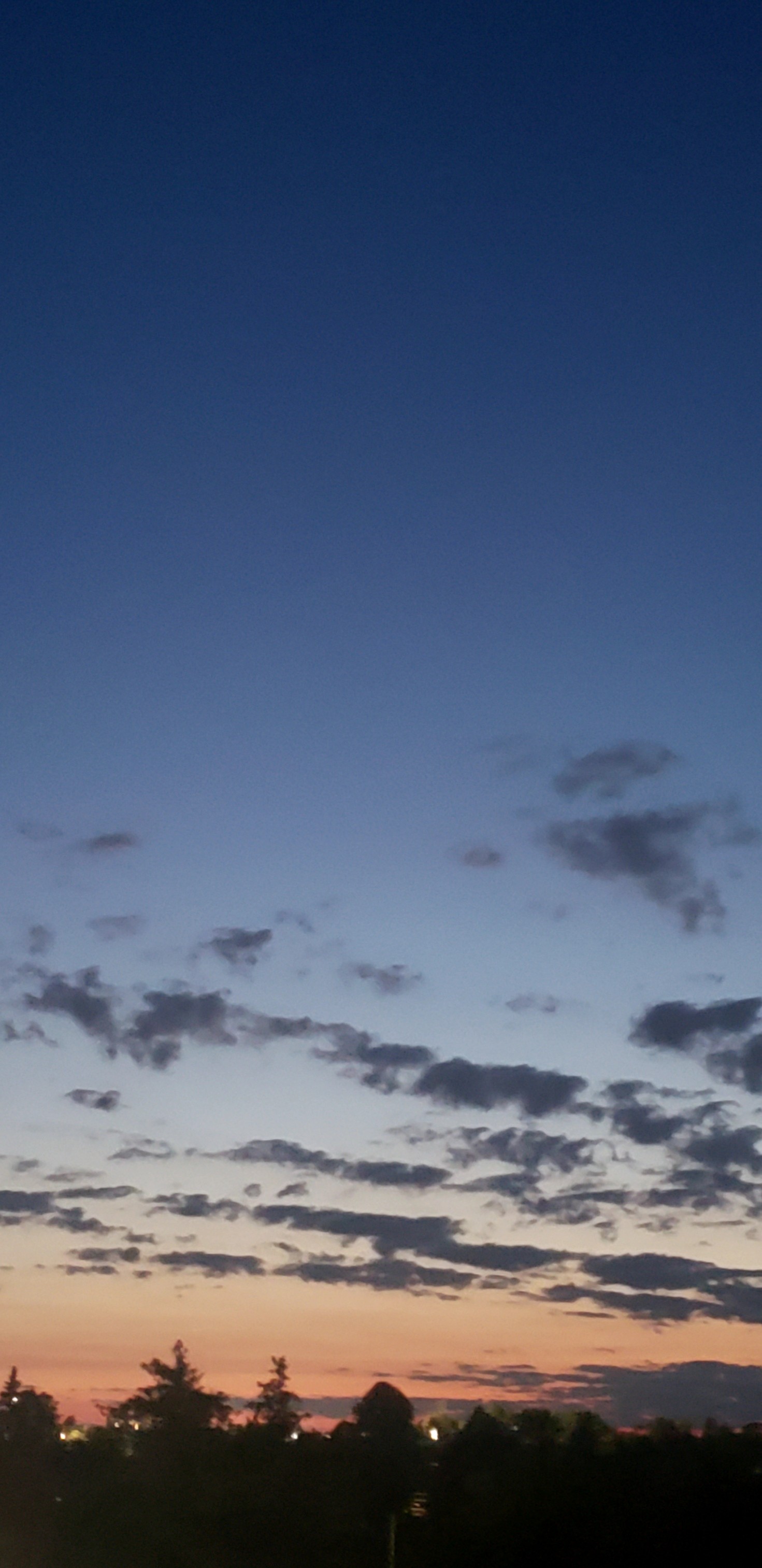 An evening sky fades from deep blue to warm pink and orange near the horizon. Scattered dark clouds hang above silhouetted trees and distant neighbourhood lights.